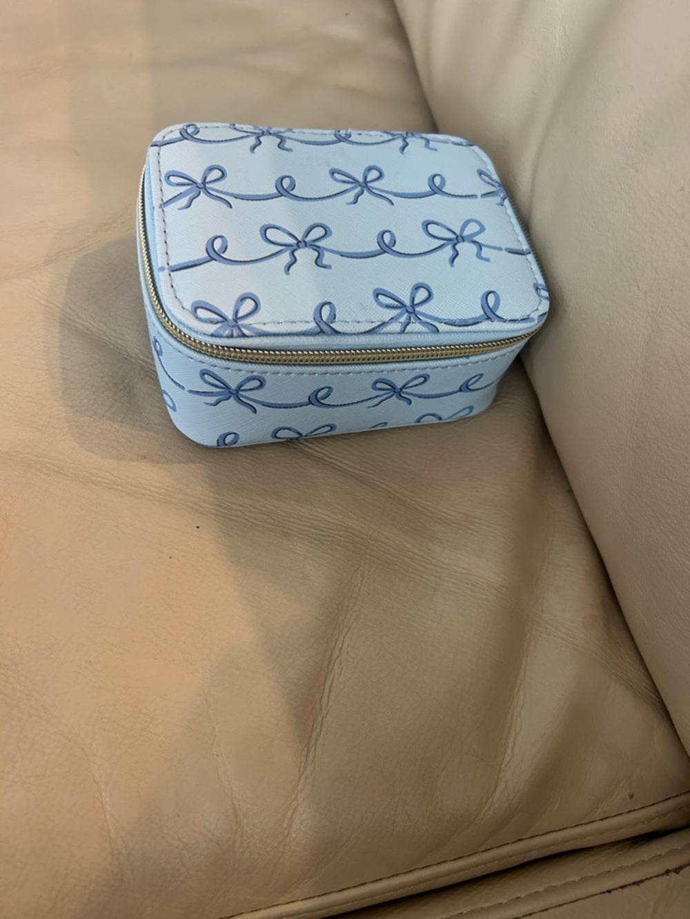 Light Blue Bow Print Pill Case